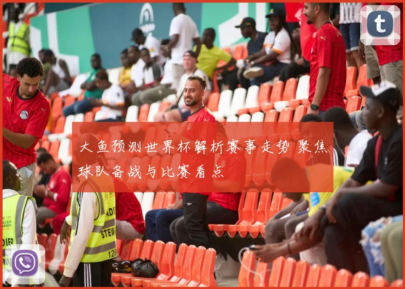 大鱼预测世界杯解析赛事走势 聚焦球队备战与比赛看点