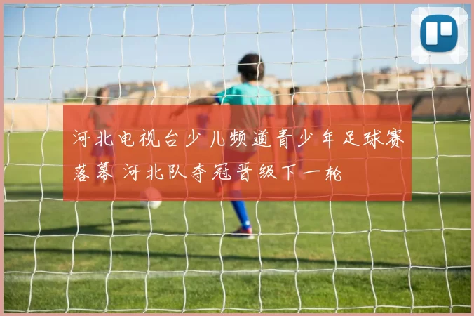 河北电视台少儿频道青少年足球赛落幕 河北队夺冠晋级下一轮