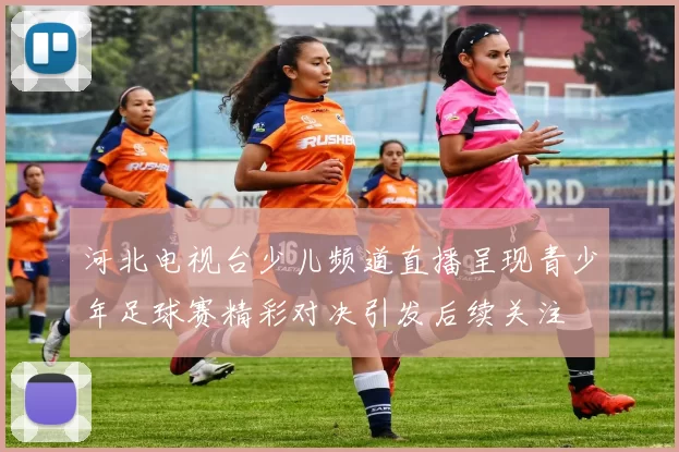河北电视台少儿频道直播呈现青少年足球赛精彩对决引发后续关注