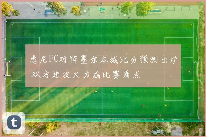 悉尼FC对阵墨尔本城比分预测出炉 双方进攻火力成比赛看点