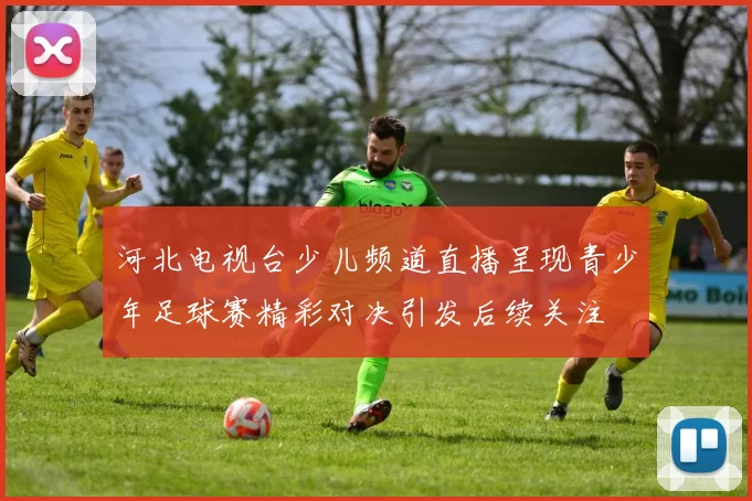河北电视台少儿频道直播呈现青少年足球赛精彩对决引发后续关注